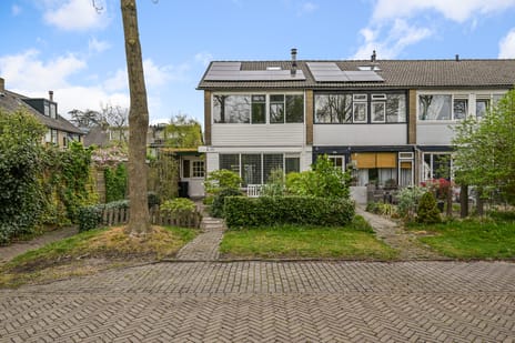 undefined main image