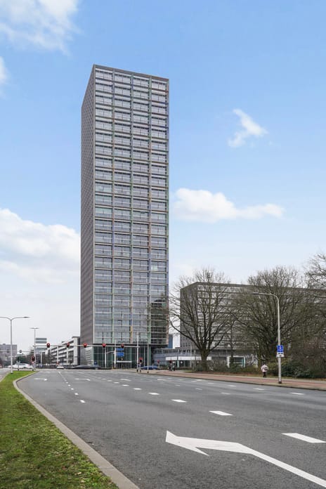 undefined main image