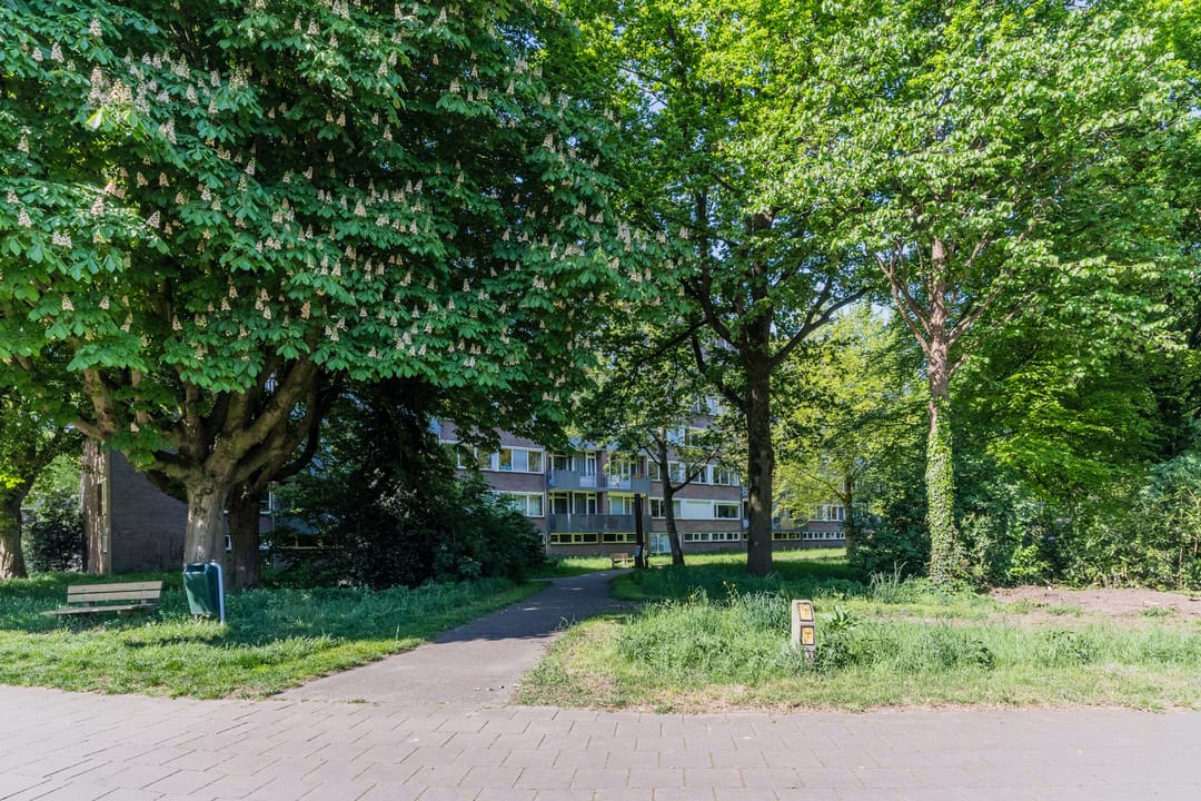 Photo 41 of Westpoint 61