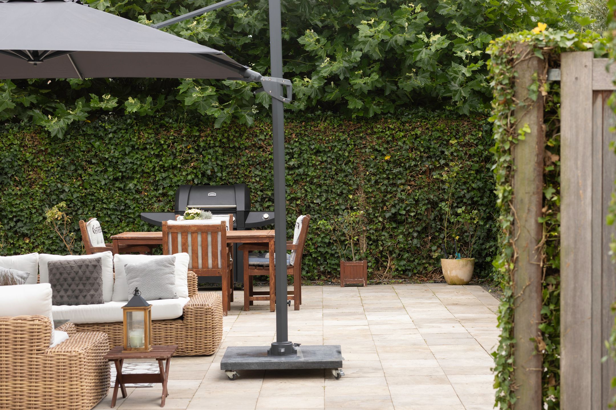 Photo 45 of Sapporodreef 16