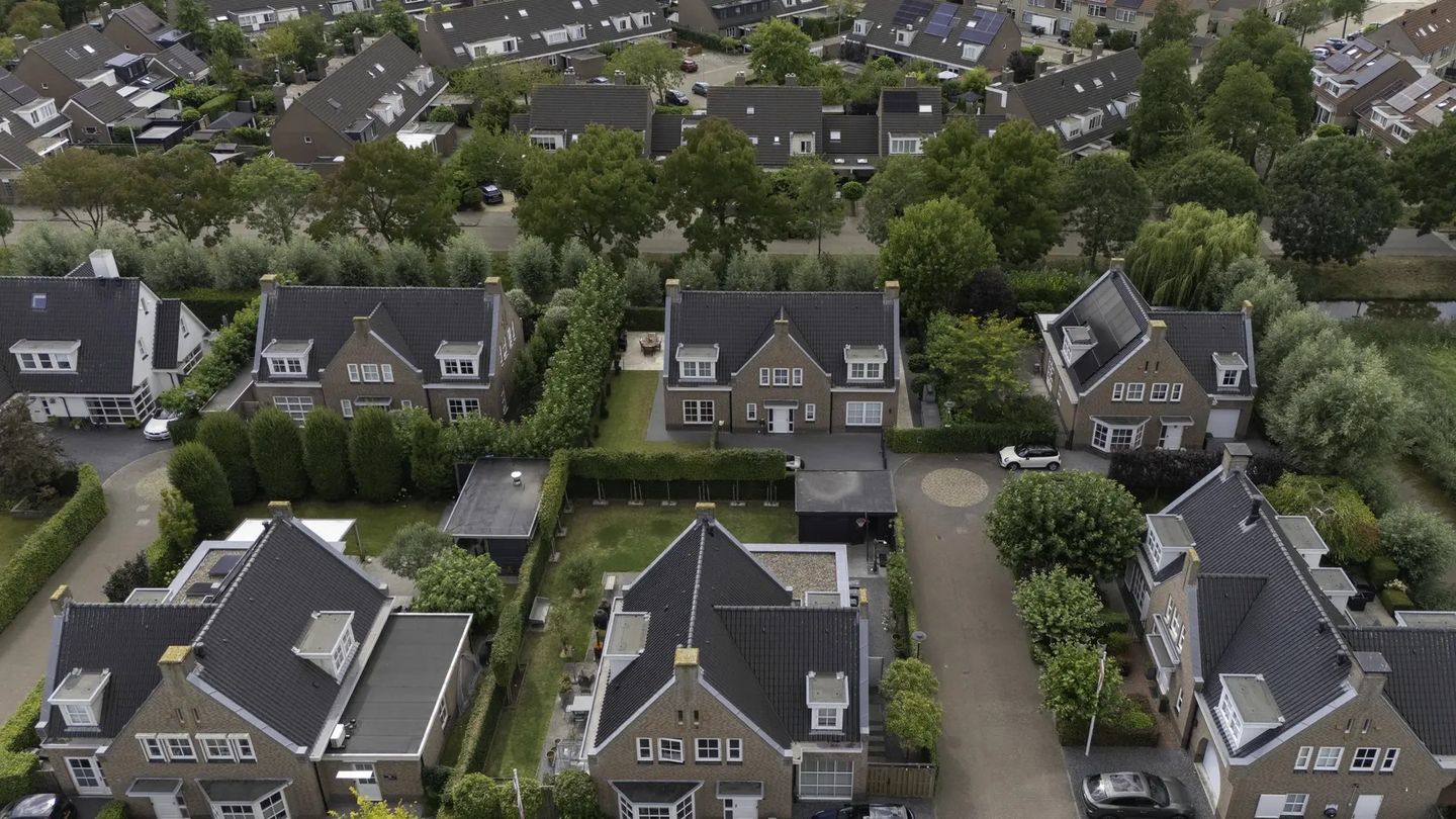 Photo 50 of Sapporodreef 16