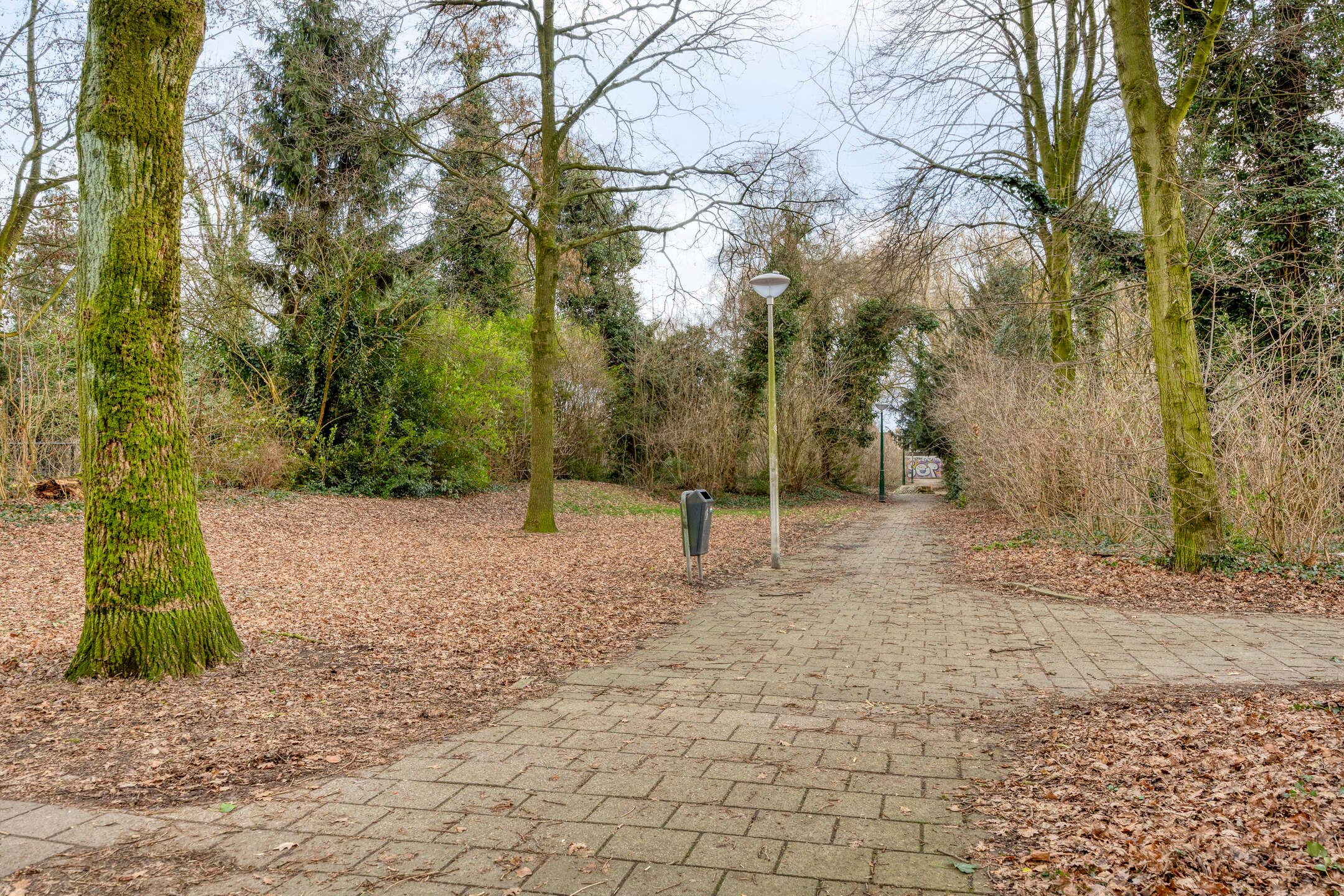 Foto 48 van Torecpad 1