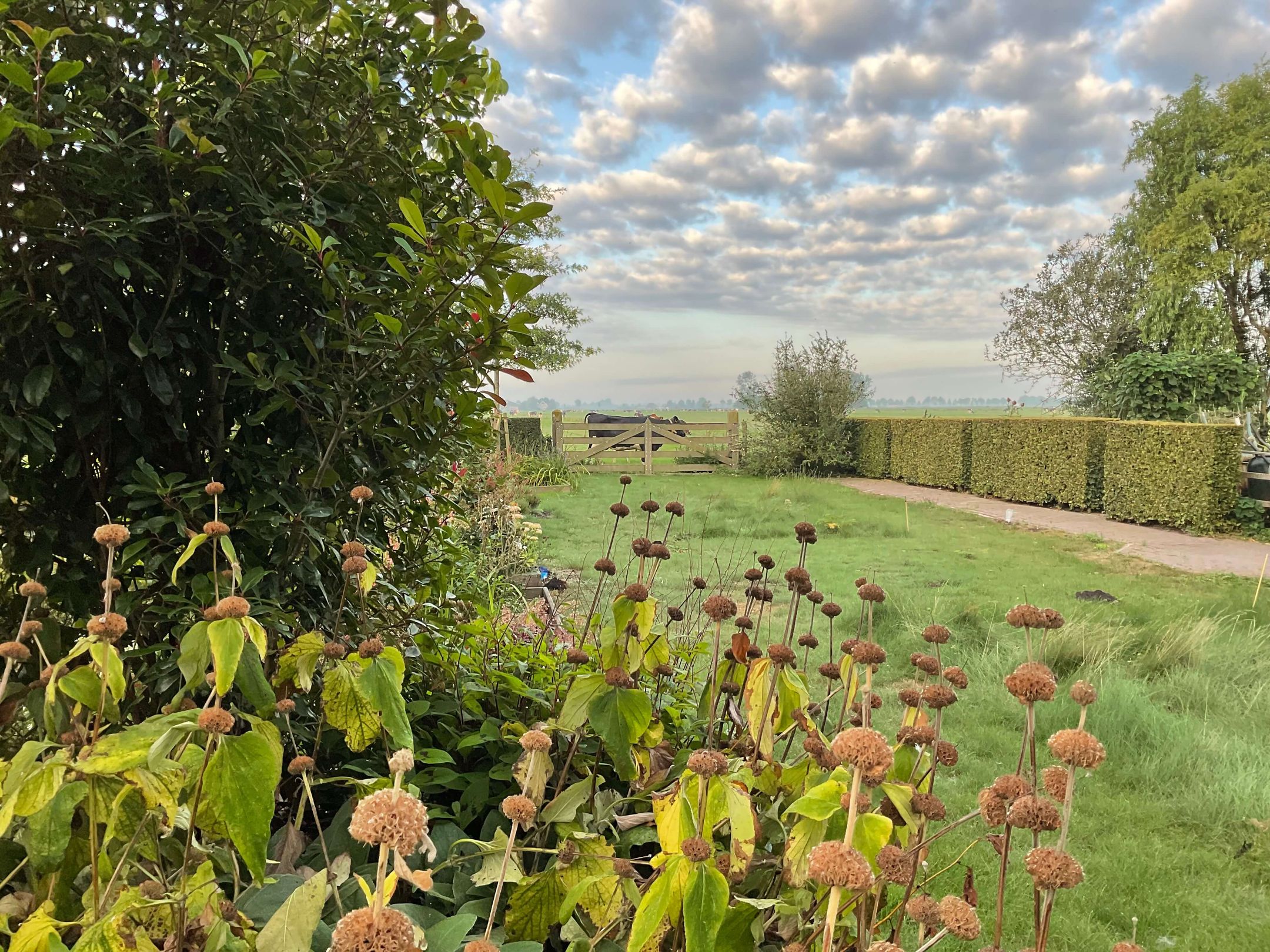 Foto 57 van IJsselmeerdijk 31