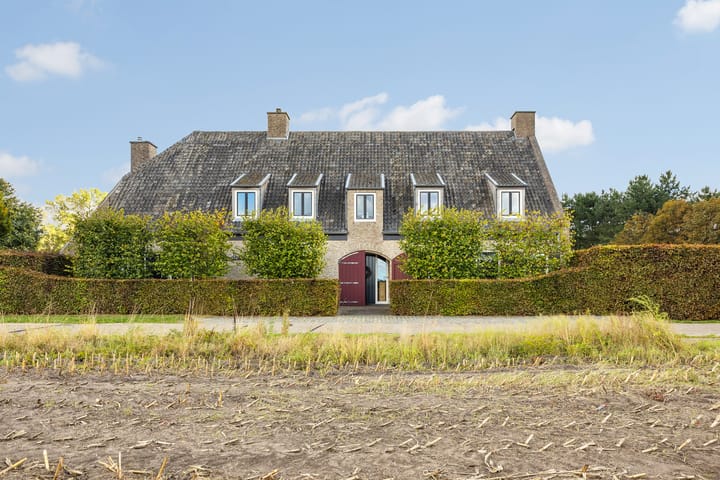 Foto 4 van Schuivenoord 2