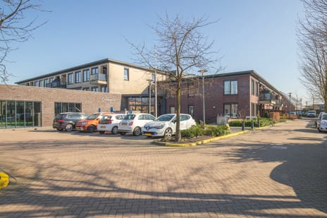 undefined main image