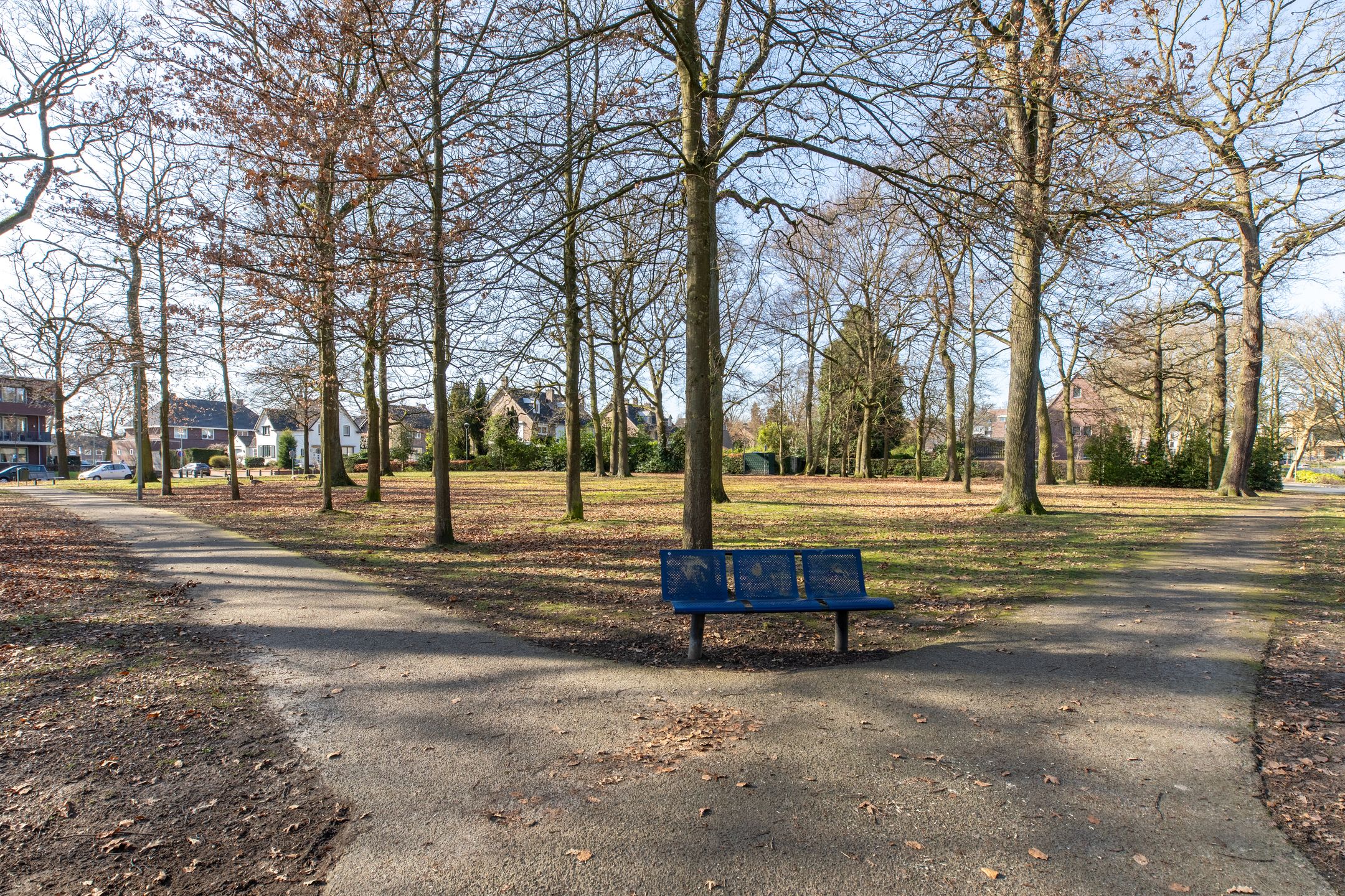 Foto 33 van Taelmanshof 14