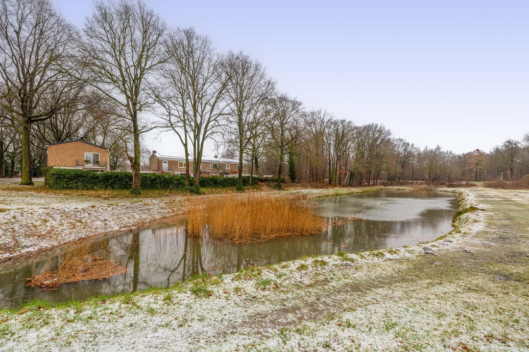 Photo 41 of Sliffertsestraat 29
