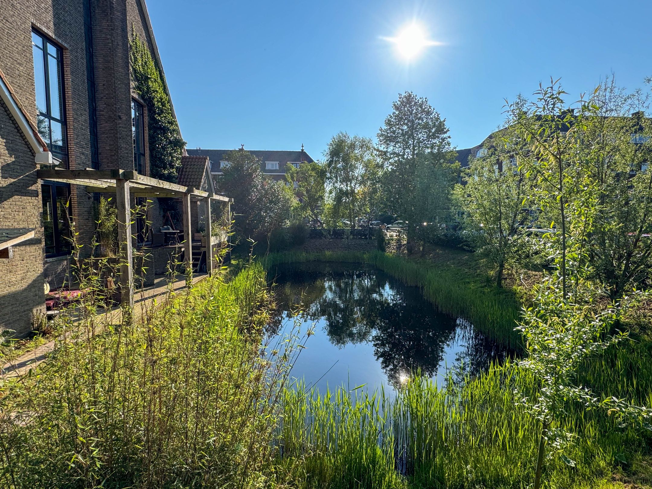 Photo 6 of Pomonaplein 49