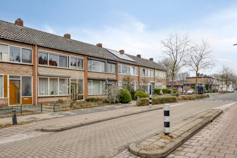 Castorweg thumbnail