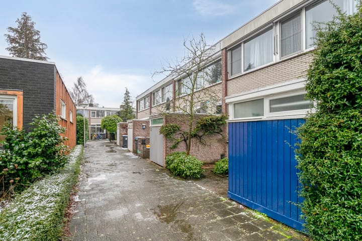 Foto 2 van Dardanuspad 7