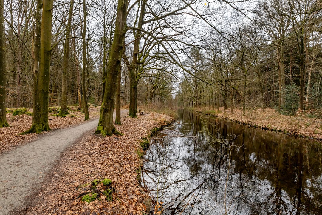 Photo 52 of Beek en Bosch 51