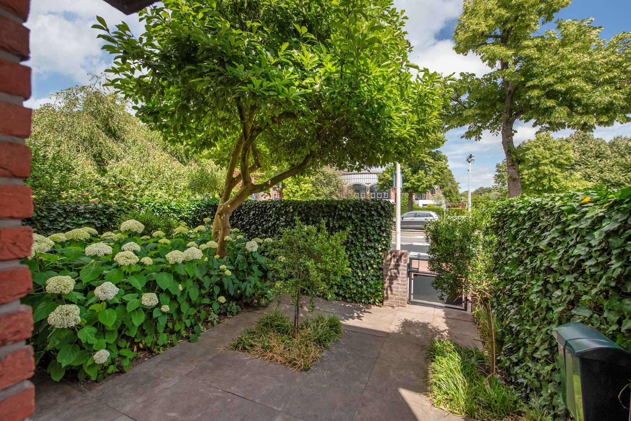 Foto 6 van Van Alkemadelaan 70