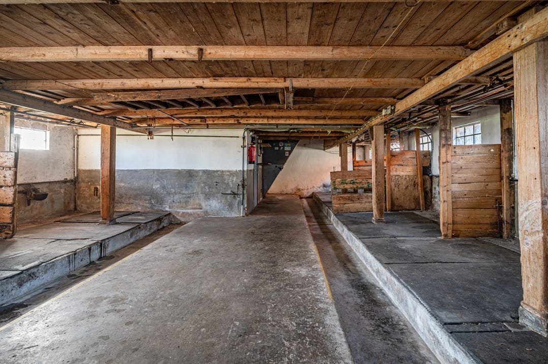 Photo 22 of Hammerdijk 21