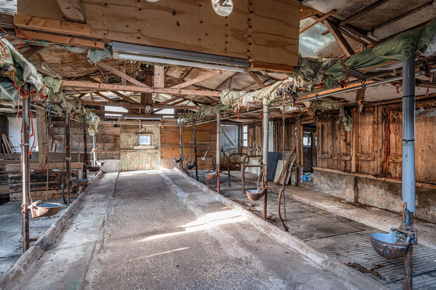 Photo 29 of Hammerdijk 21