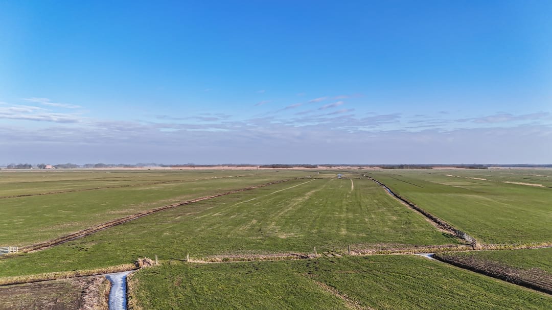 Photo 38 of Hammerdijk 21