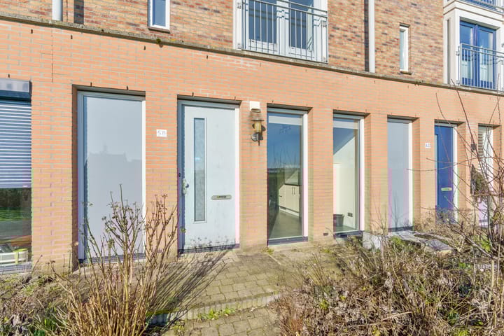 Foto 2 van Zilvermos 58