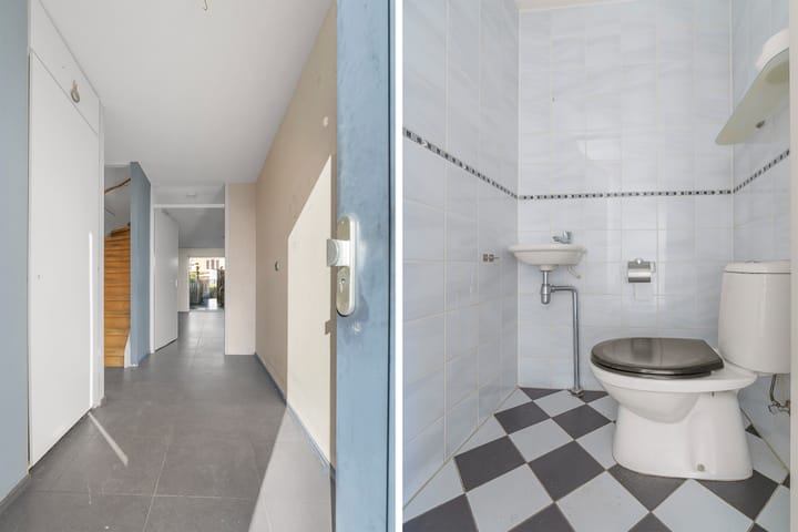 Foto 3 van Zilvermos 58