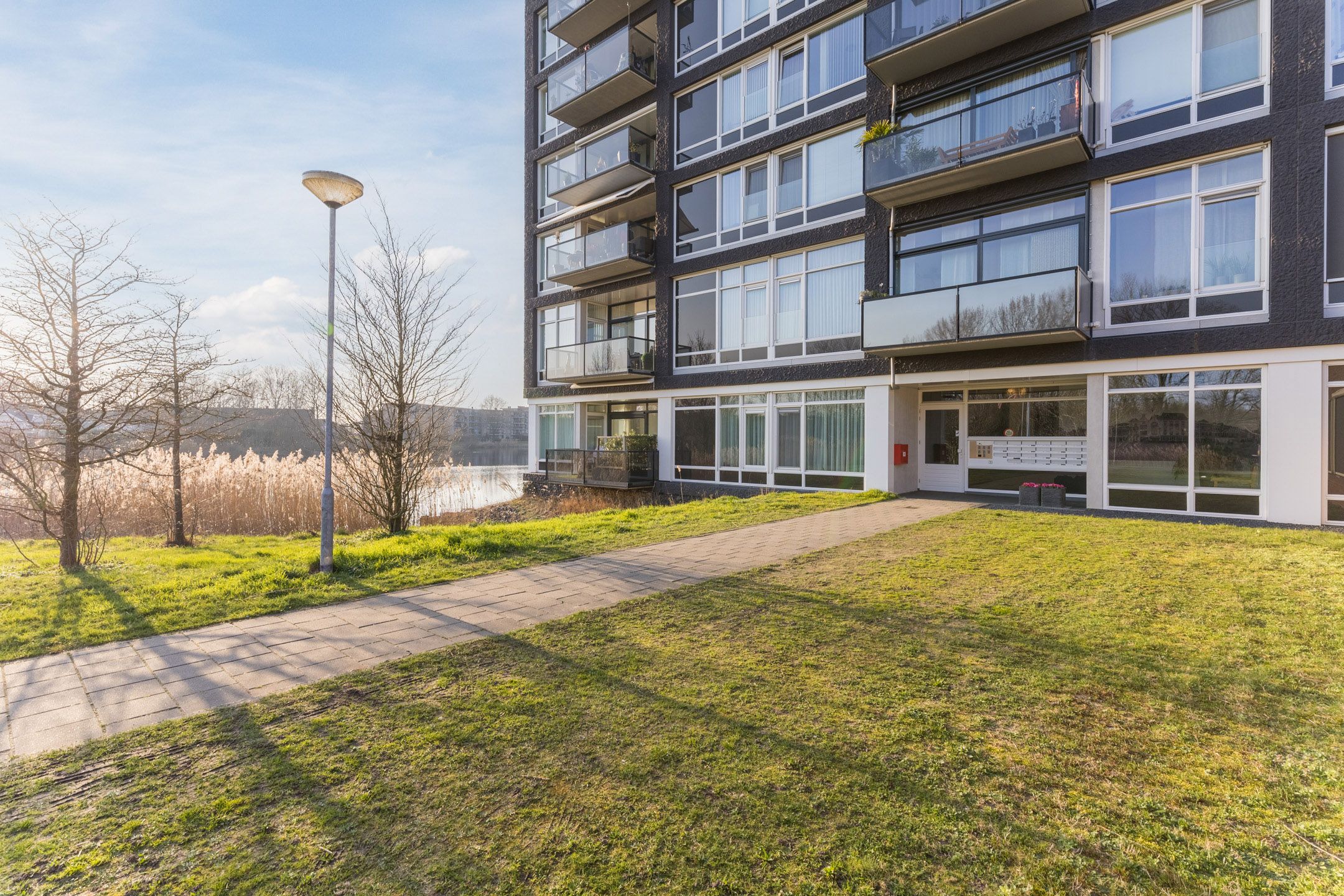 Photo 3 of Bosboompad 55