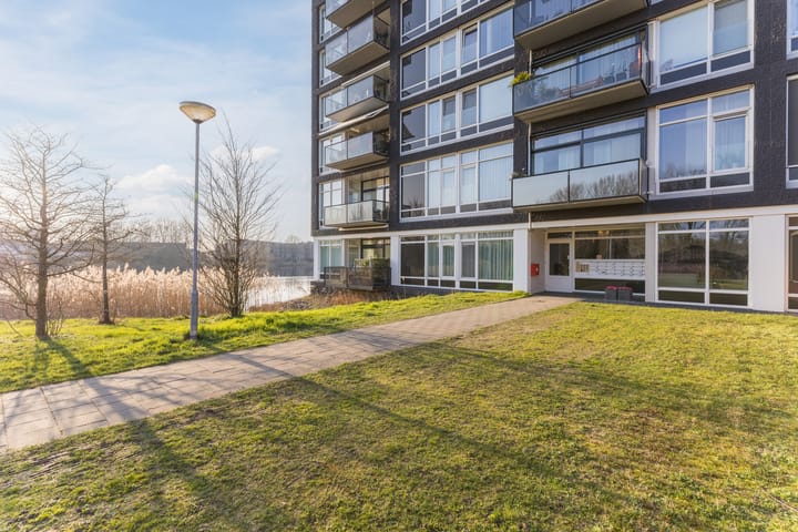 Foto 3 van Bosboompad 55