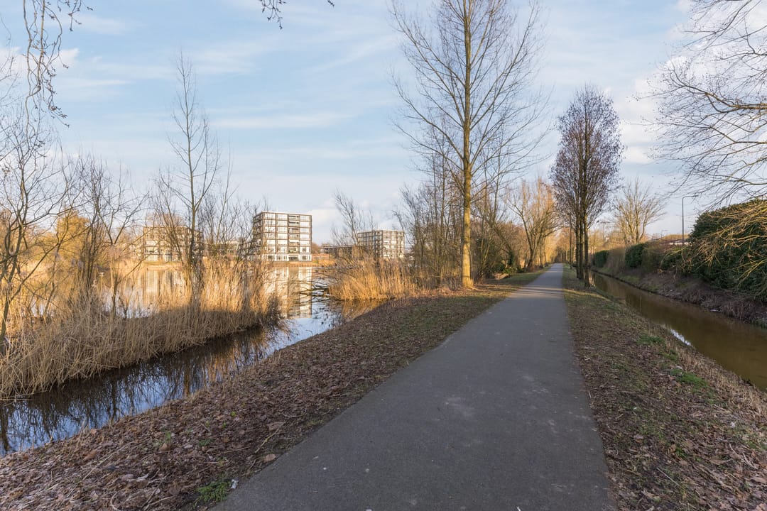 Photo 23 of Bosboompad 55