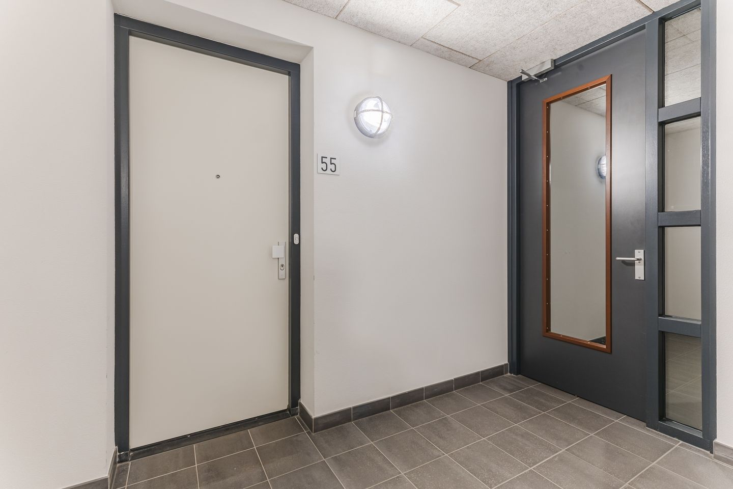 Photo 5 of Bosboompad 55