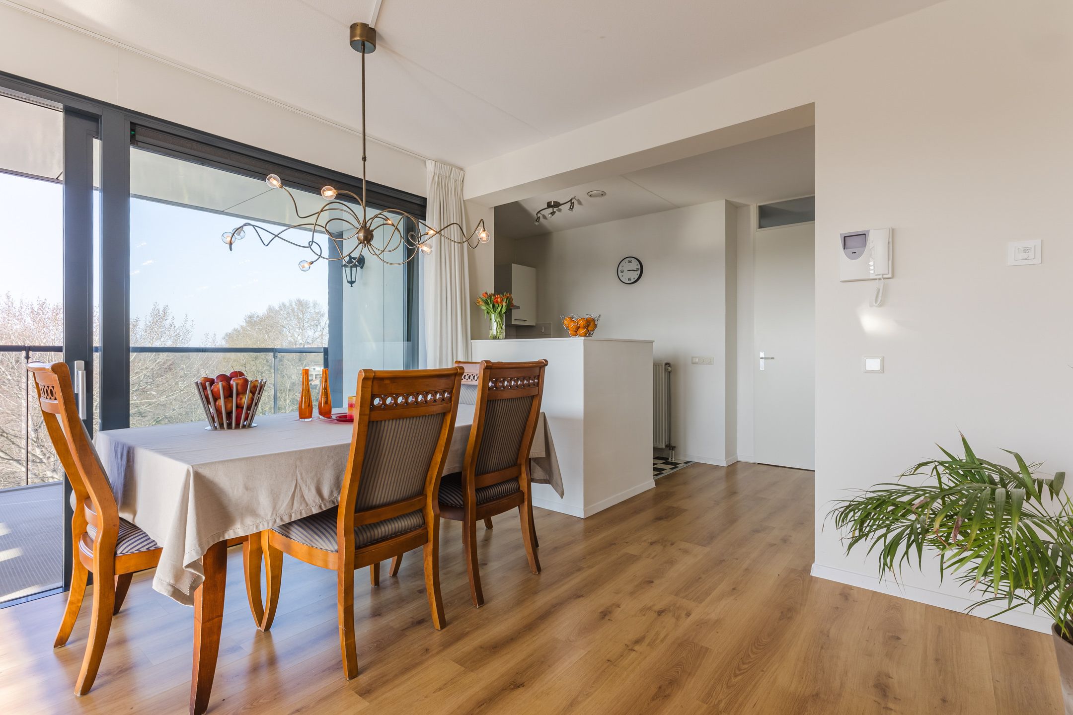 Photo 9 of Bosboompad 55