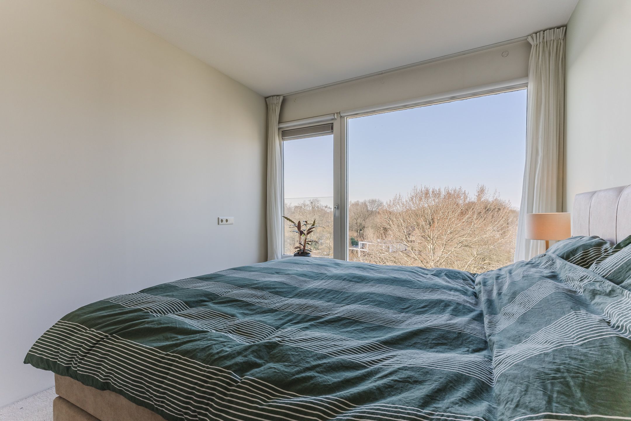 Photo 15 of Bosboompad 55