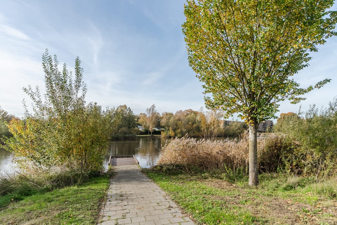 Photo 32 of Bosboompad 55