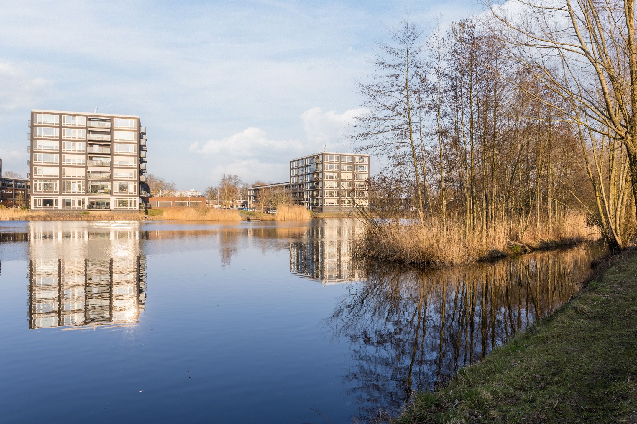 Photo 27 of Bosboompad 55