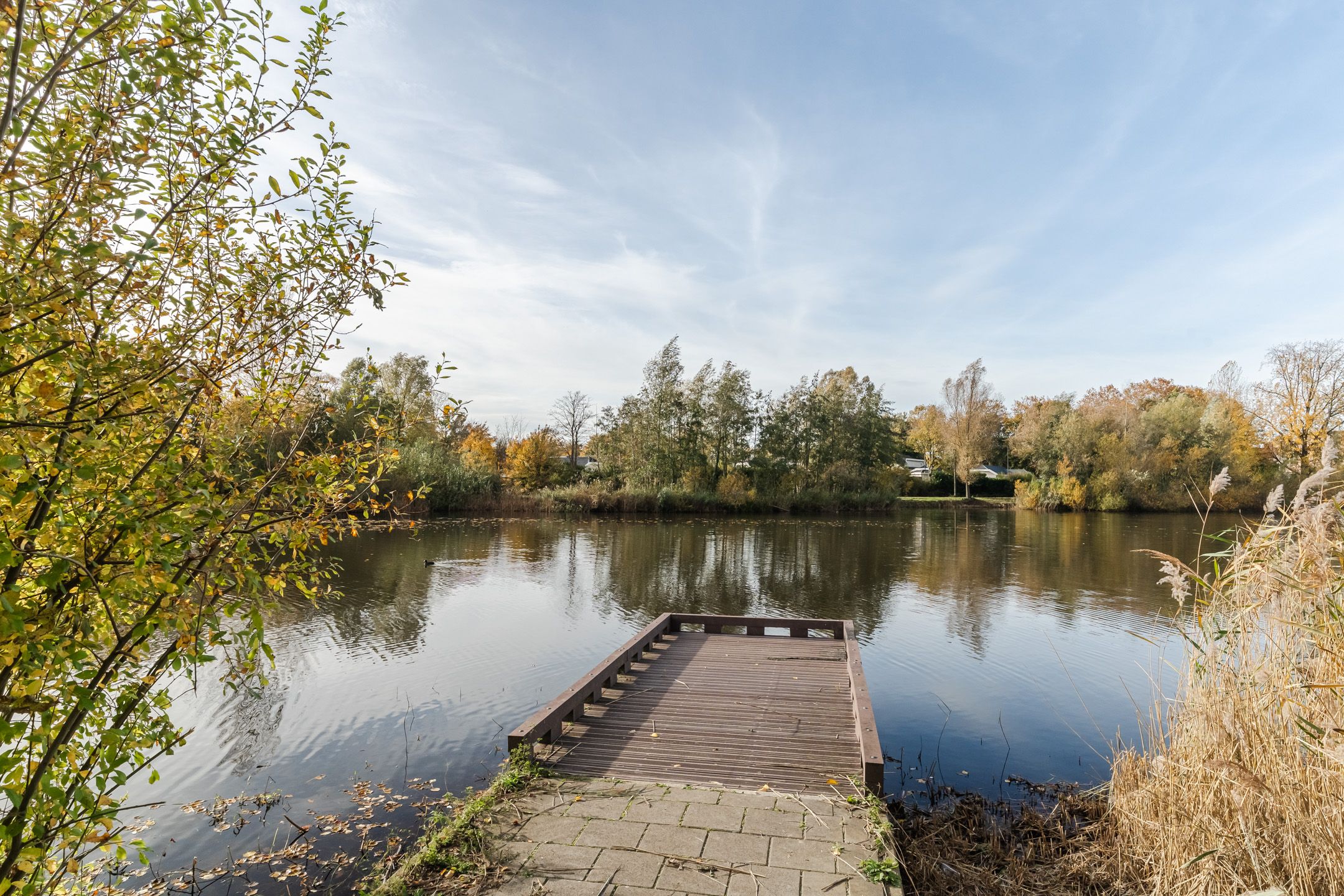 Photo 33 of Bosboompad 55