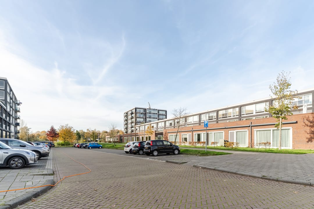 Photo 37 of Bosboompad 55