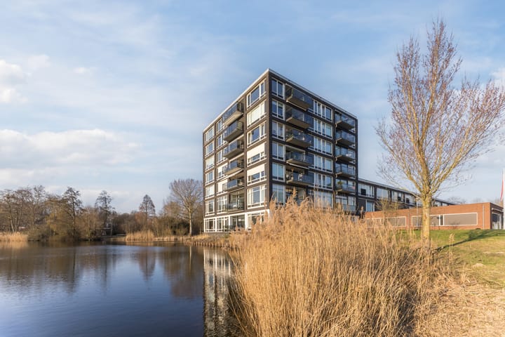 Foto 2 van Bosboompad 55