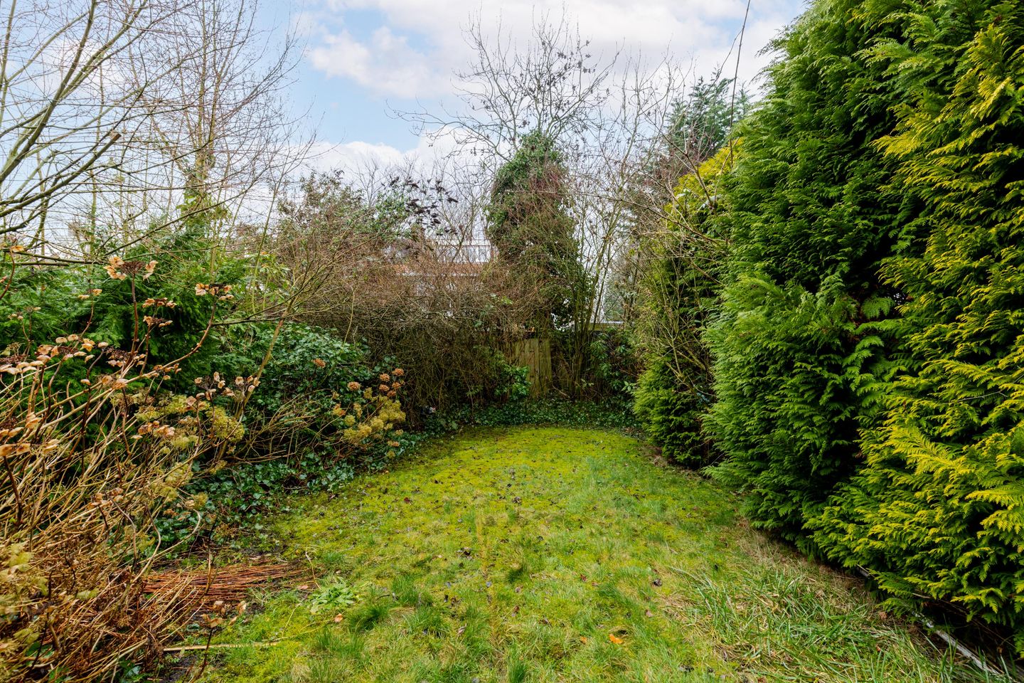 Foto 4 van Burgemeester Le Fèvre de Montignylaan 120