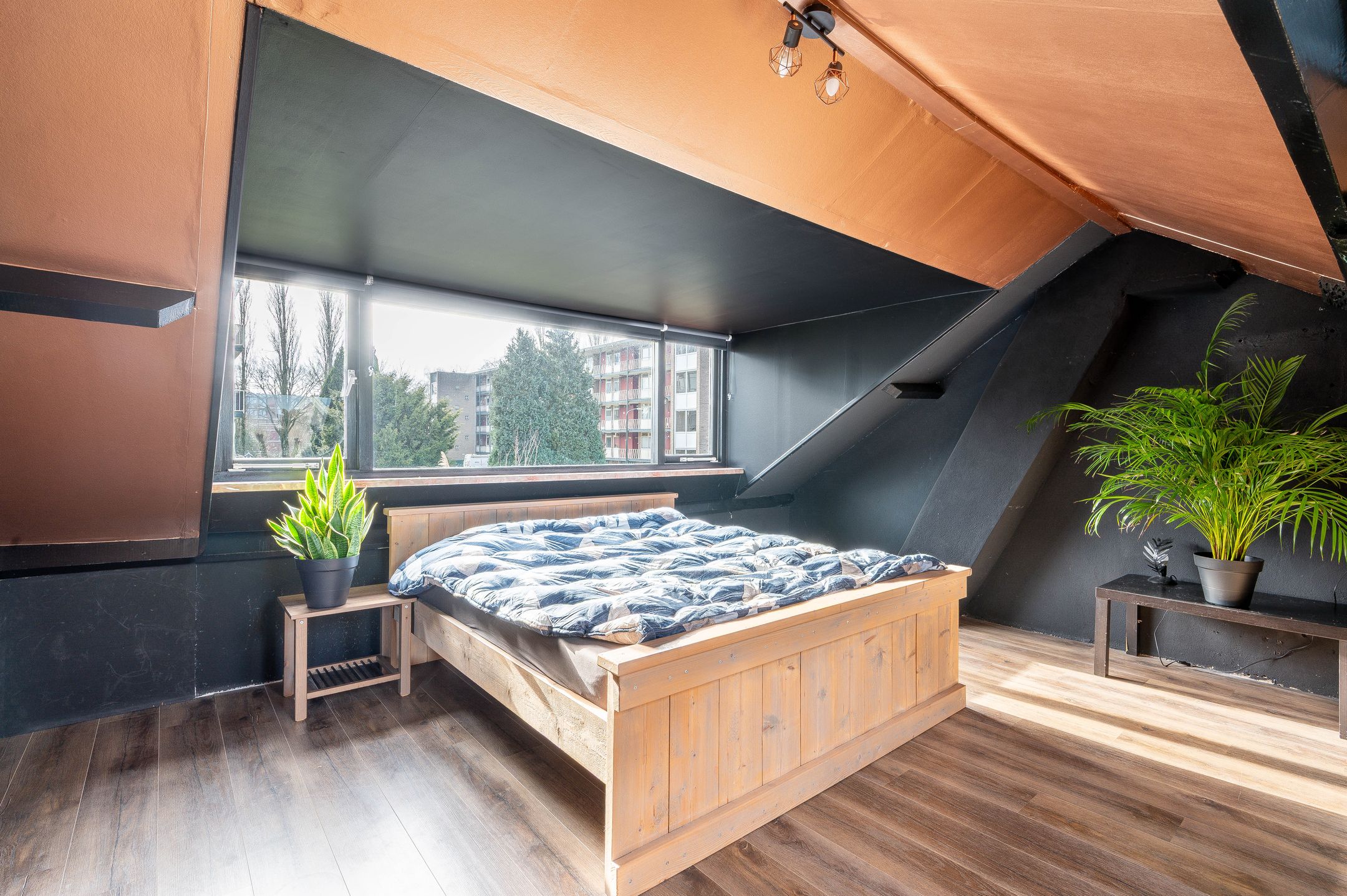 Photo 15 of Troelstrastraat 31