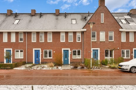 undefined main image