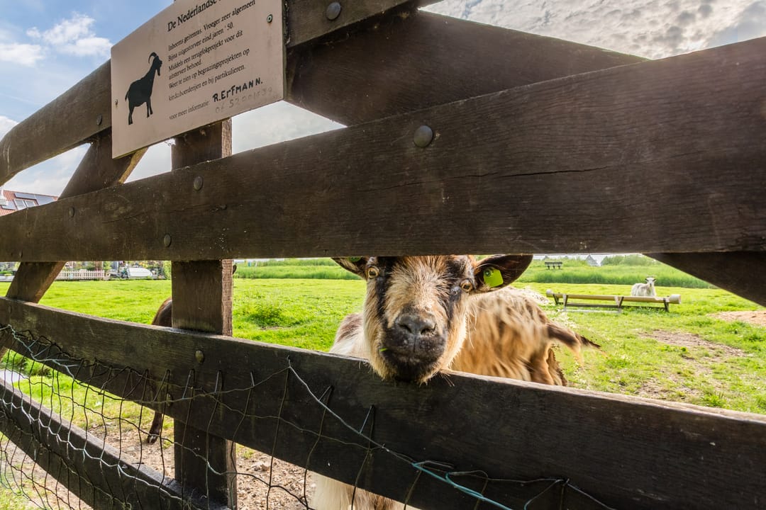 Foto 47 van Bakkersstraat 39