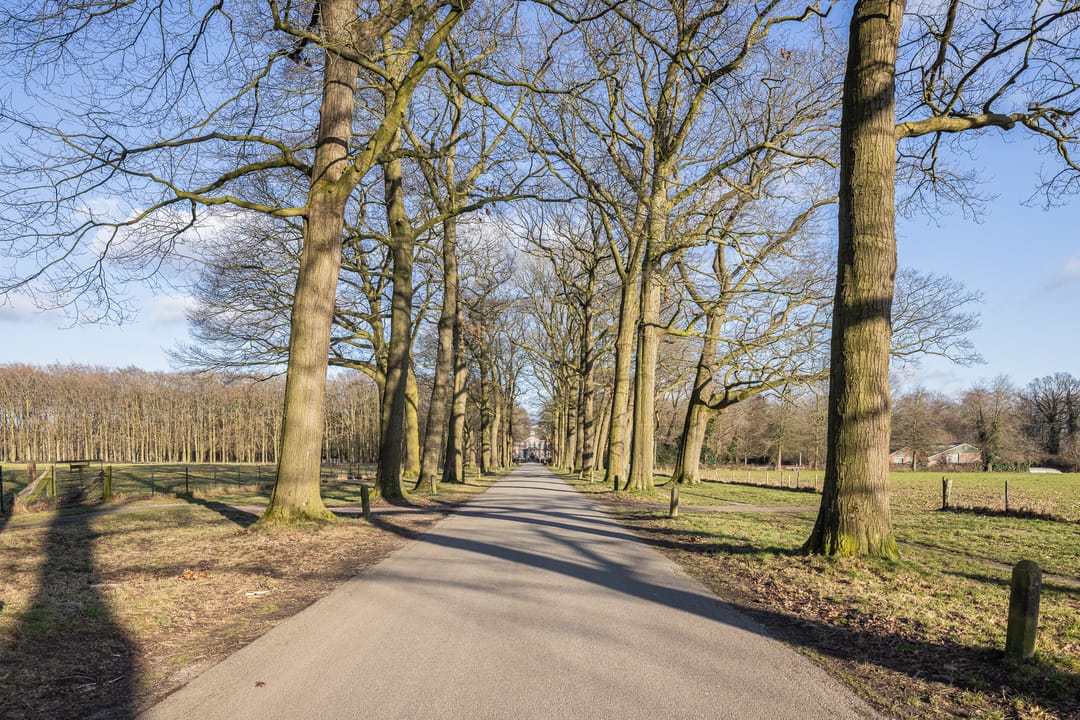 Foto 52 van Kastanjehof 10