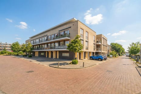 undefined main image