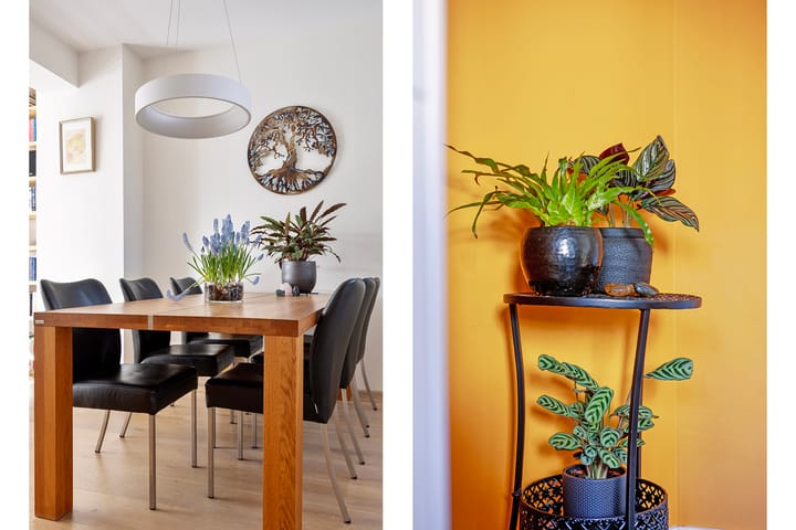 Tussenwoning te koop: Sint Pieterstraat 11, Middelburg
