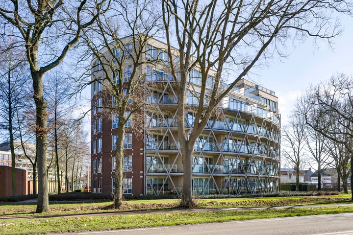 Octogoon 19 main image