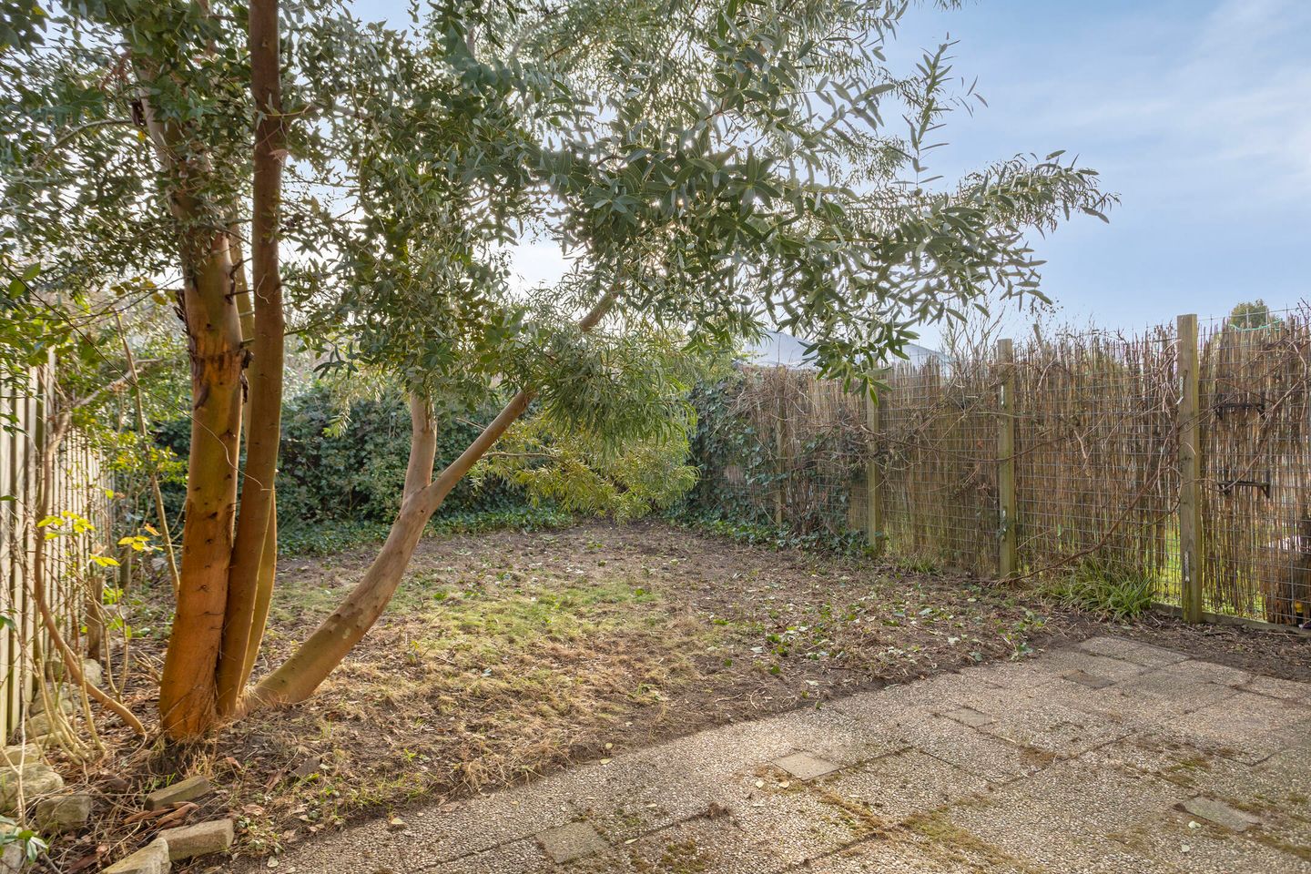 Foto 5 van Bronkhorst 30