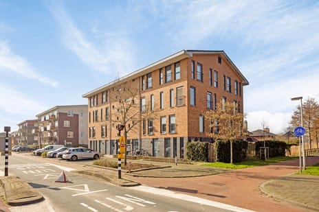 undefined main image