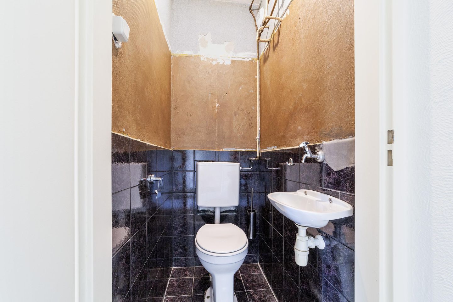 Foto 20 van Meijhorst 3350