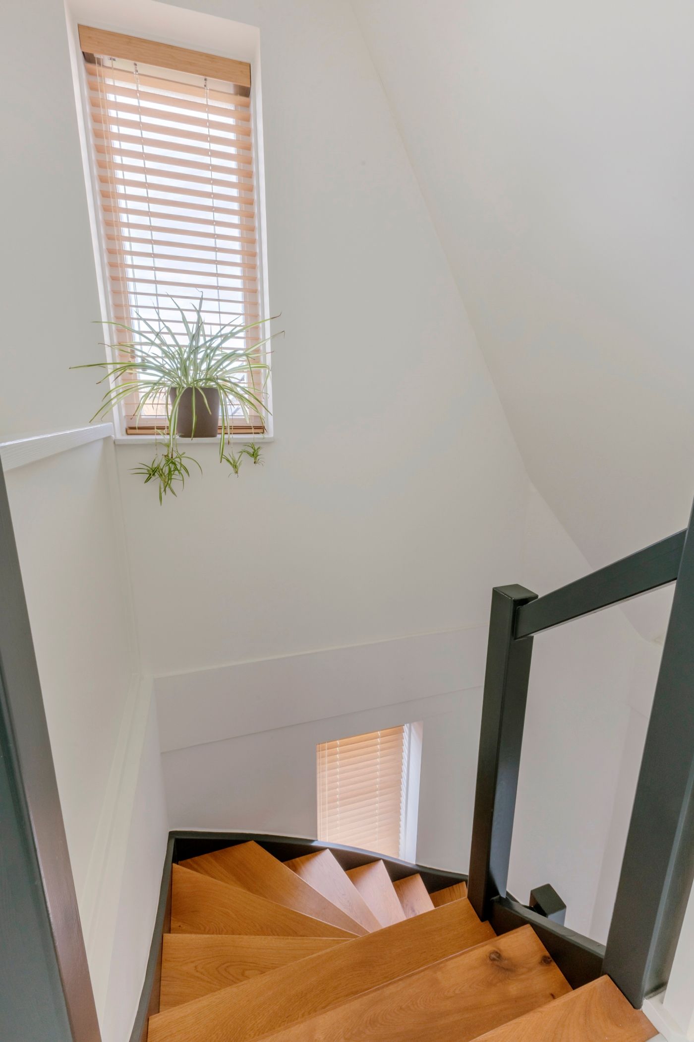 Foto 33 van Nicolaas Blokkerlaan 6