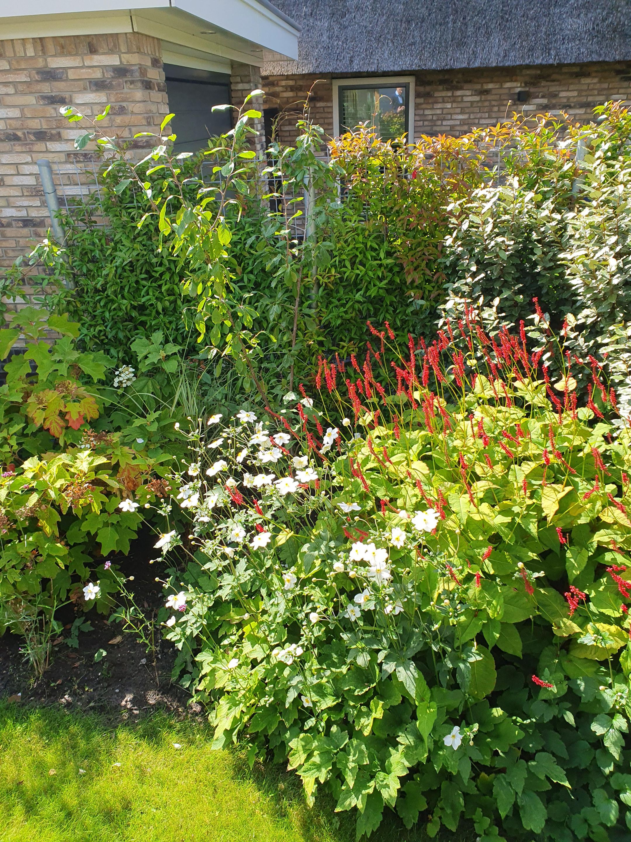 Foto 60 van Nicolaas Blokkerlaan 6