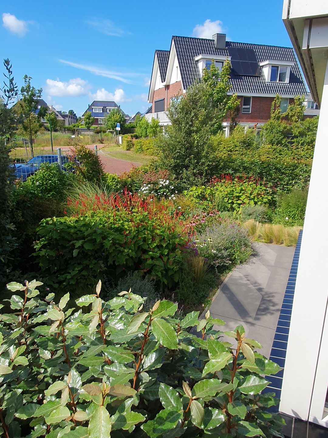 Foto 61 van Nicolaas Blokkerlaan 6