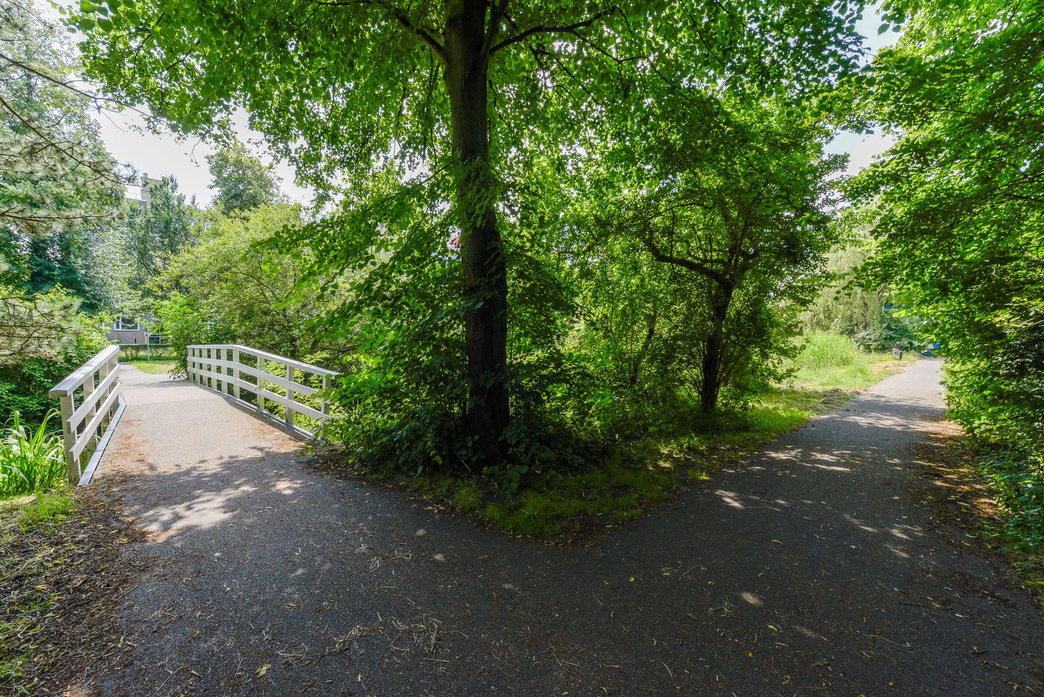 Photo 33 of Segbroeklaan 444