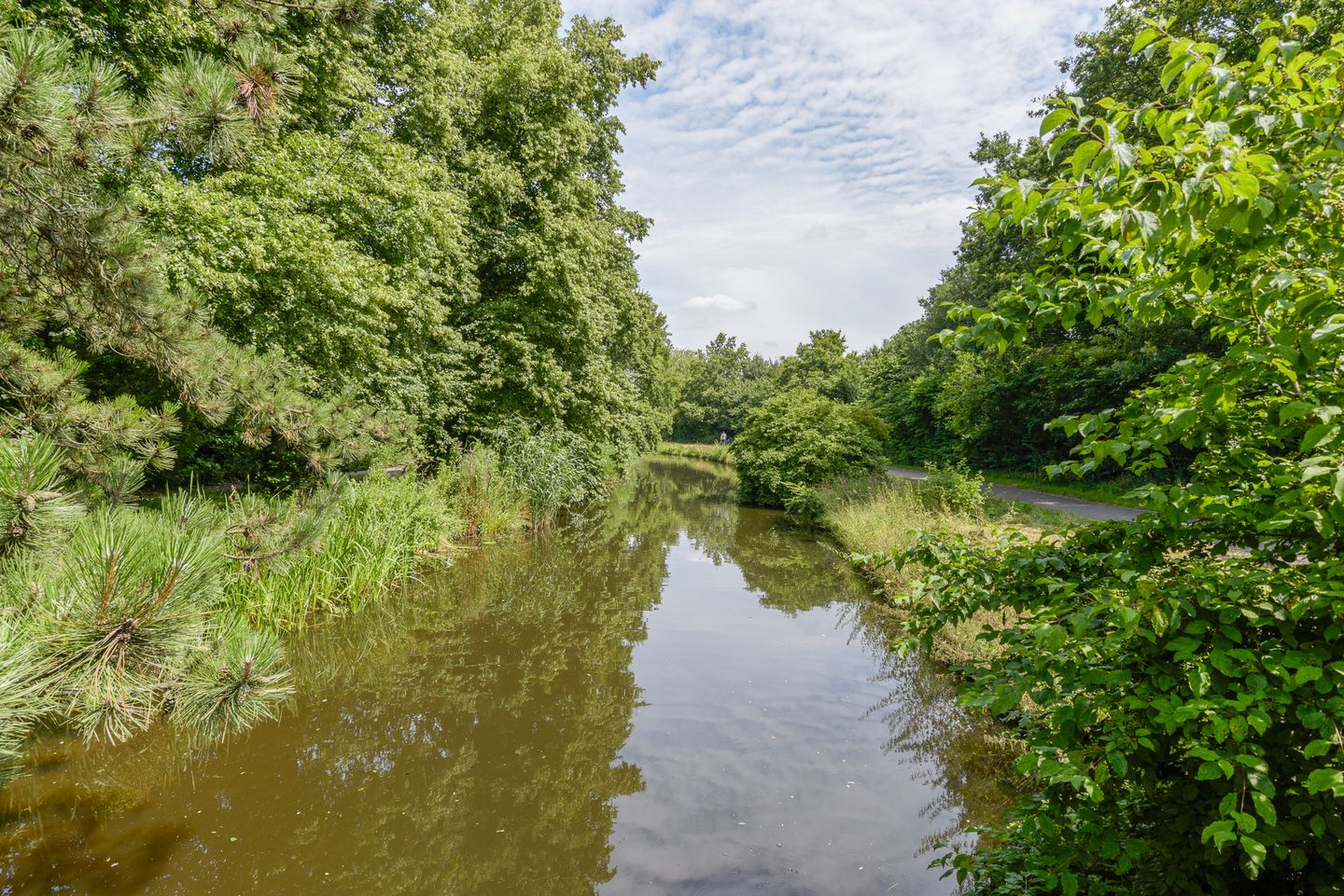 Photo 34 of Segbroeklaan 444