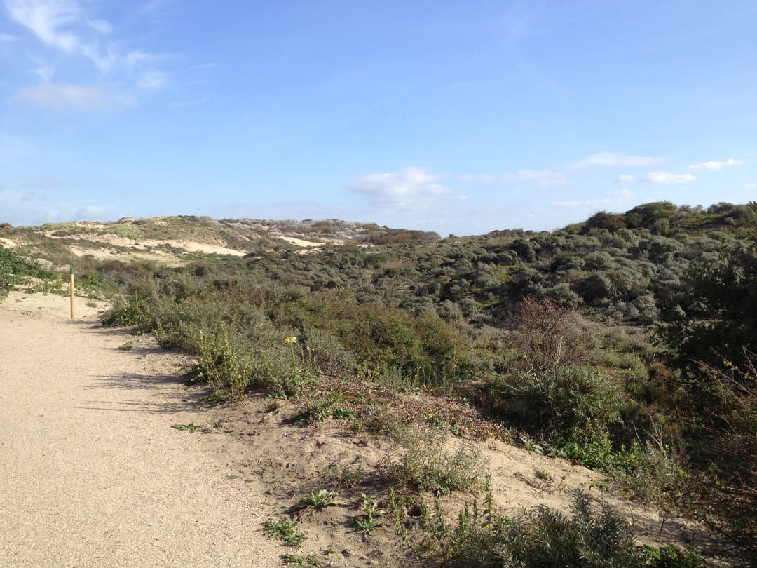 Photo 38 of Segbroeklaan 444