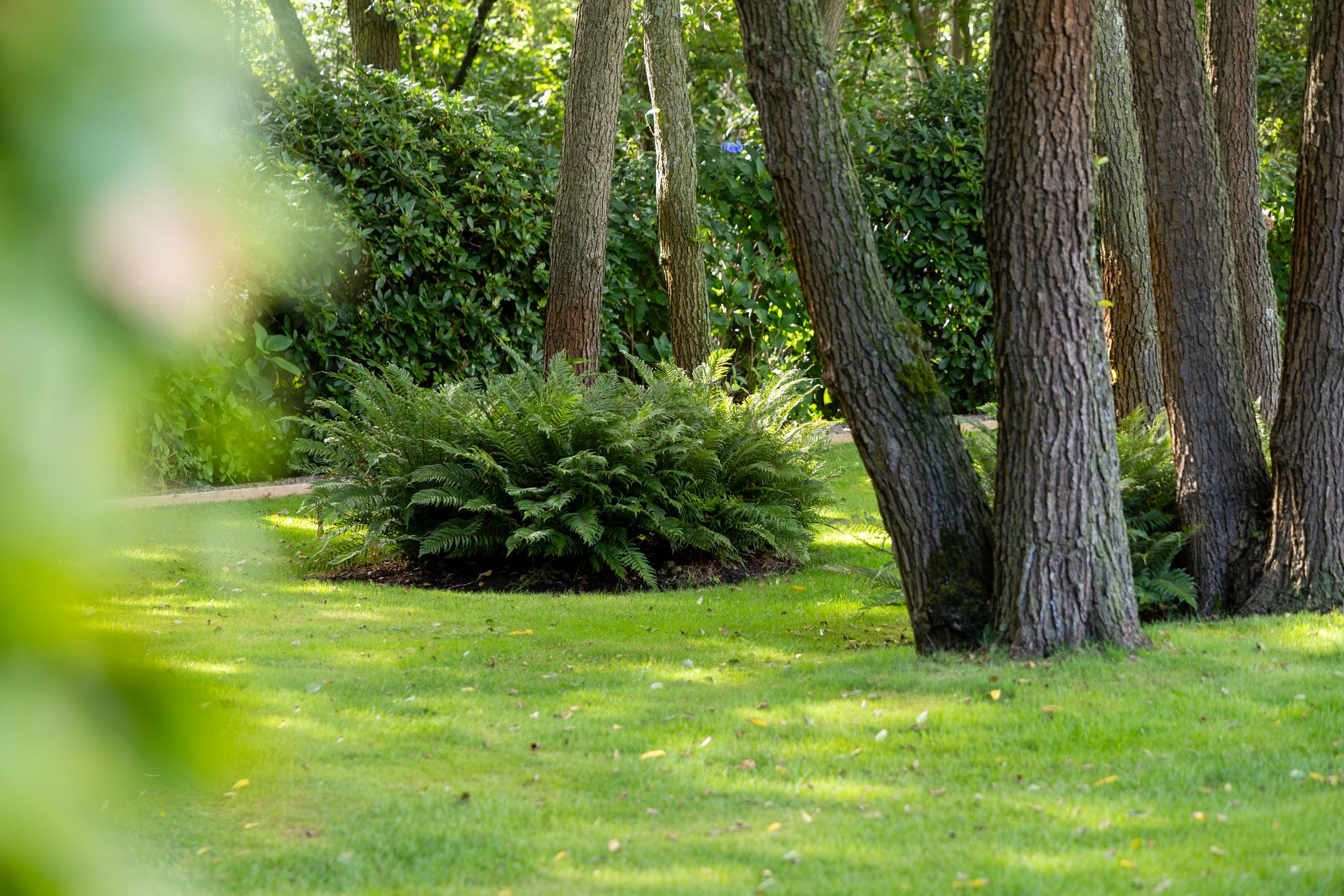 Foto 6 van Nieuw-Loosdrechtsedijk 223